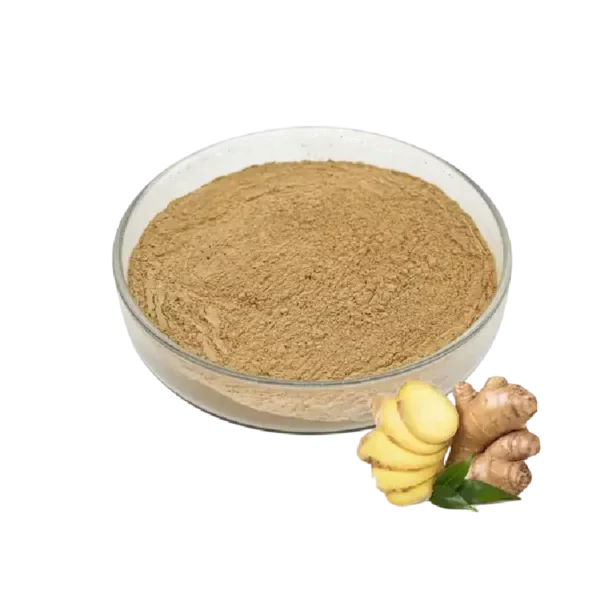 Zəncəfil tozu