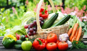 vegan-vaspotlas-scaled