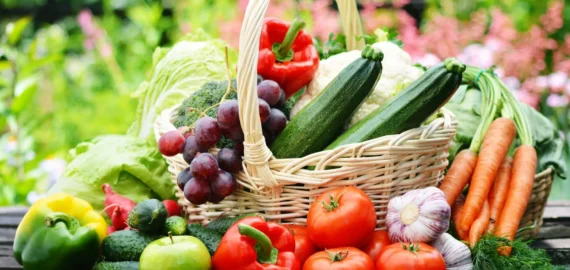 vegan-vaspotlas-scaled vegan-vaspotlas-scaled